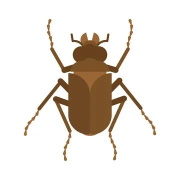 Bug isolated. Beetle insect Vector illustration イラスト素材