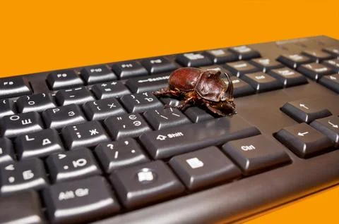 Bug on a keyboard Stock Photos