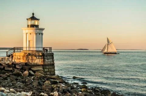 Bug Light Stock Photos