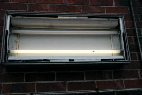 Bug on light Stock-Fotos