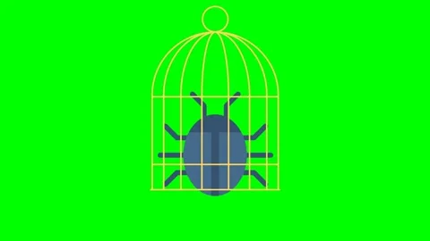 Bug, mistake. Beetle in a cage. Detection, neutralization, confinement Stock Footage 267668792