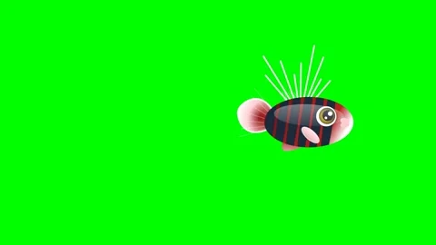 Bug Motion with Fish Isolated Green Screen Stock Video Stock Footage 336959176