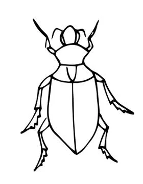 Bug outline vector. Coloring page for kids. Exotic bug collection.hand drawn  Stock Illustration