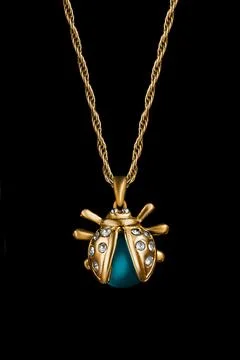 Bug pendant isolated Stock Photos