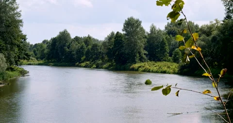 Bug River, border between Poland and Belarus Stock Footage 277512760