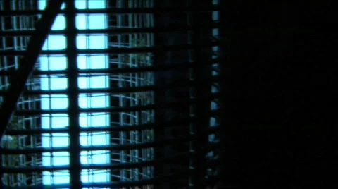 Bug Roasting In Zapper Video stock 266718