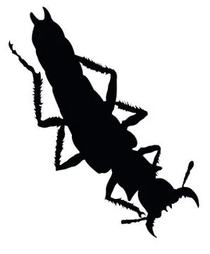 Bug silhouette Stock Illustration