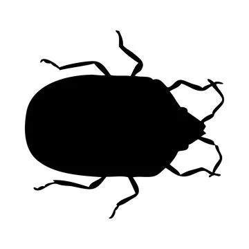 Bug Silhouette イラスト素材