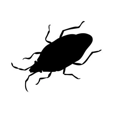Bug Silhouette イラスト素材
