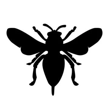 Bug silhouette isolated on white background. Shape of insect with wings. Stock Illustration