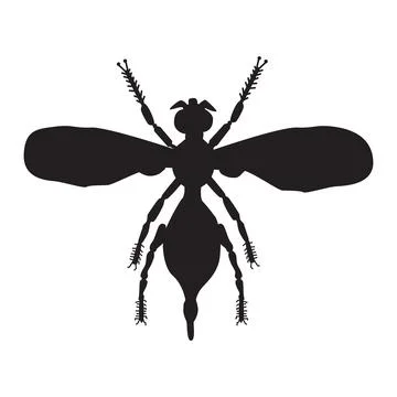 Bug silhouette isolated on white background. Shape of insect with wings. Stock Illustration