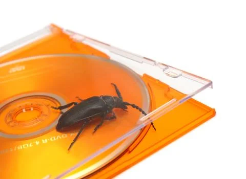 Bug in software concept Stock Photos