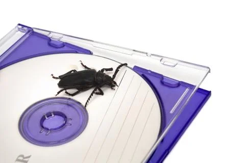 Bug in software Stock Photos