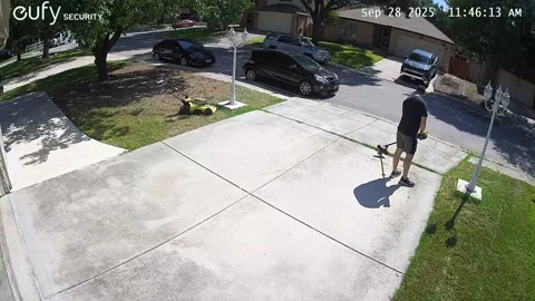 Bug Startles Man Doing Yard Work, San Antonio, Texas, USA - 28 Sep 2025 Stock Footage 318497125