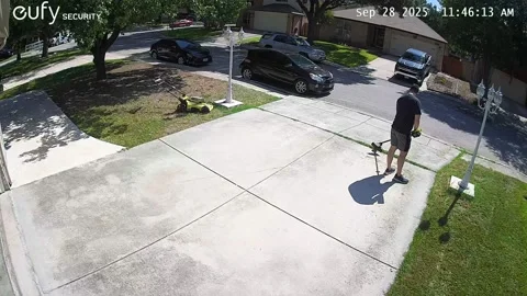 Bug Startles Man Doing Yard Work, San Antonio, Texas, USA - 28 Sep 2025 Stock Footage 318497126