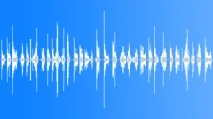 Bug sucking eating loopSound Effect