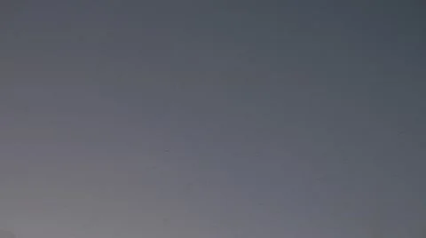 Bug swarm at sunset 2 Stock Footage 50055146