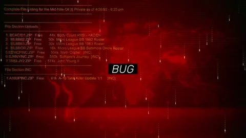 Bug Text on hacking background screen Stock Footage 317057374