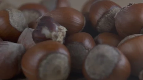 A bug is on top of a pile of nuts Stock Footage 295159077