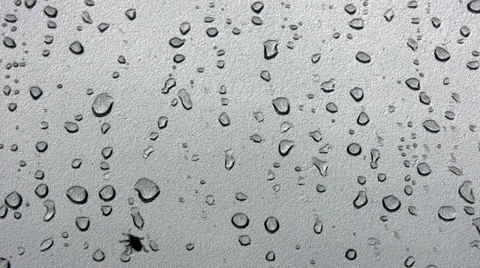 Bug on wet glass Video stock 27291087