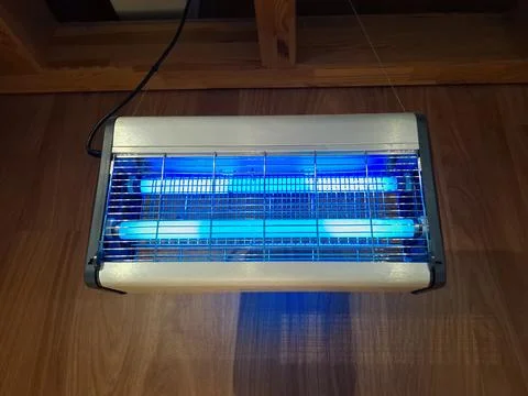 Bug zapper. Electronic mosquito killer lantern in shop Stock-Fotos