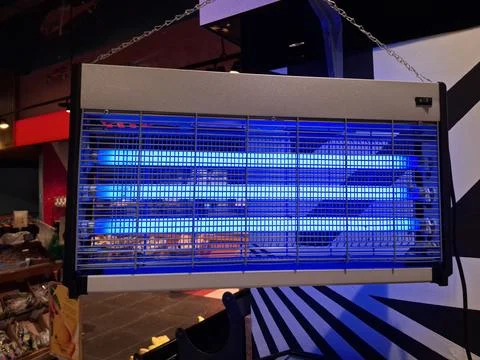 Bug zapper. Electronic mosquito killer lantern, UV lamp trap in shop Stock-Fotos