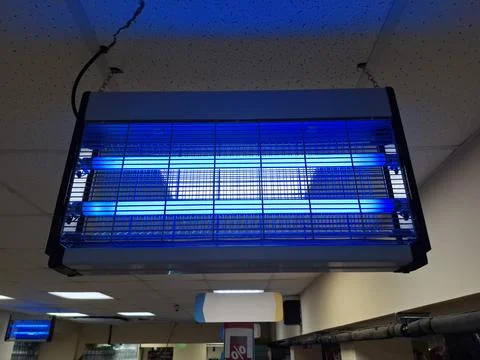 Bug zapper. Electronic mosquito killer lantern in shop Stock-Fotos
