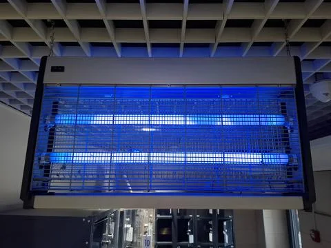 Bug zapper. Electronic mosquito killer lantern, UV lamp trap in shop Stock-Fotos