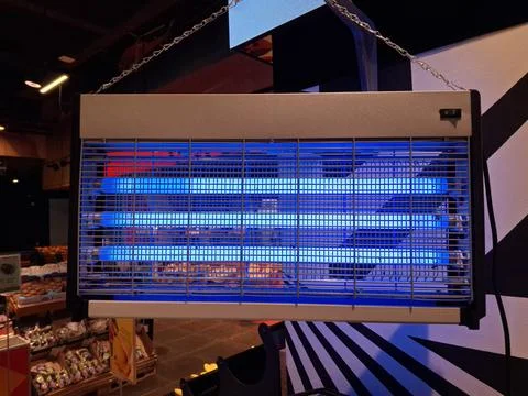 Bug zapper. Electronic mosquito killer lamp. Electric ultraviolet insect kill Stock-Fotos
