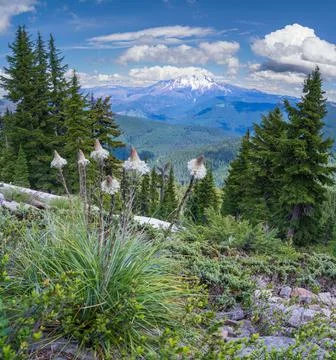 Bugaboo Ridge Trail Stock Photos