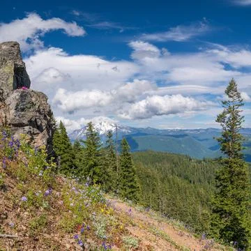 Bugaboo Ridge Trail Stock Photos