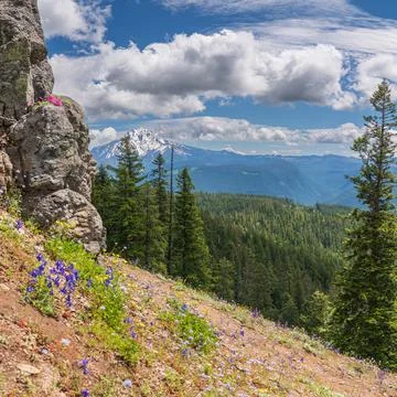 Bugaboo Ridge Trail Stock Photos