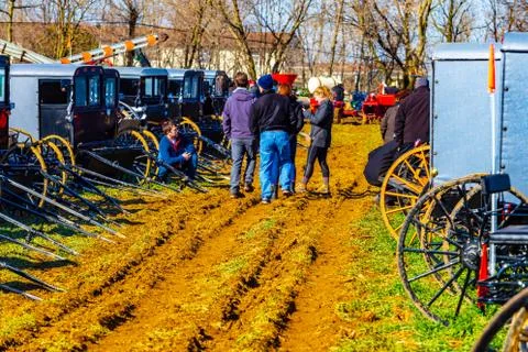 Buggies To Be Auctioned Stock Photos