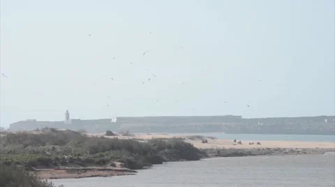 Buggies driving in the front of a former prison in Essouira Stock Footage 49535844
