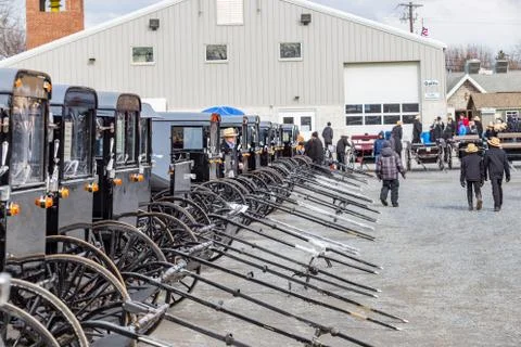 Buggies Ready for Auction Stock Photos