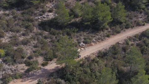 Buggy cruising at high speed through forest with inspire 2 drone Stock Footage 100261442
