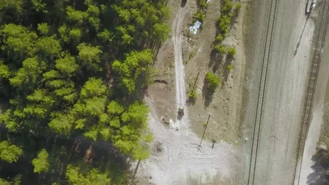 Buggy drives through the forest edge Video stock 131131736