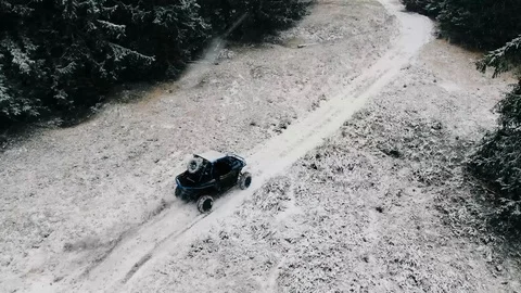 Buggy ride fast through forest in snowy weather Stock Footage 127467445