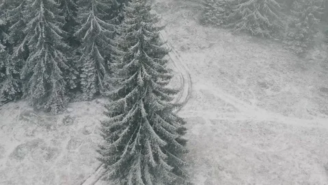 Buggy ride through forrest in snowy weather Stock Footage 127467462