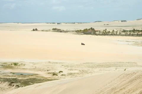 Buggy sand riding Фото