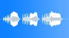 BUGLE, MILITARYSound Effect