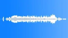 Bugle whinnySound Effect