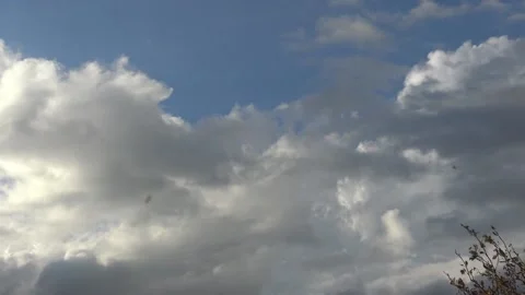 Bugs and clouds Stock Footage 159074881