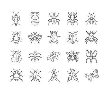 Bugs and insect icon set, line detail style Stock Illustration