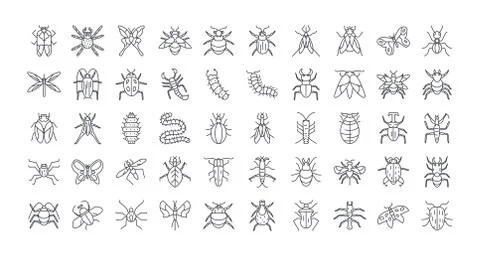 Bugs and insect icon set, line detail style イラスト素材