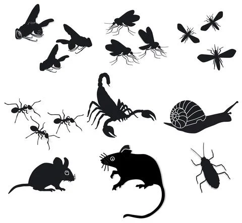 Bugs and pests, isolated on white, illustration Stock Illustration