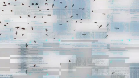 Bugs in the code. Code glitch visualization. Running cockroaches on the Stock Footage 243471272