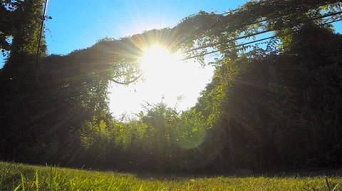 Bugs Flying Around Power Lines Stock Footage 36135097