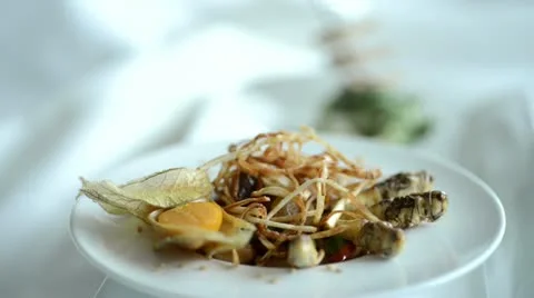 Bugs Stock Footage 21259240