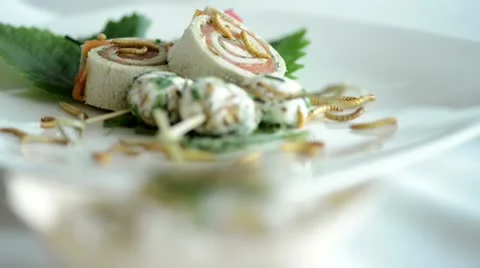 Bugs Stock-Footage 21259259